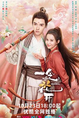 云南seo优化招商